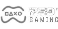 Payment 40 logo